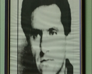 slika-vejo