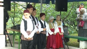 GODISNJICA BITKE KOD KRSA 7